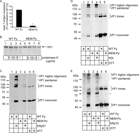 FIG. 4.