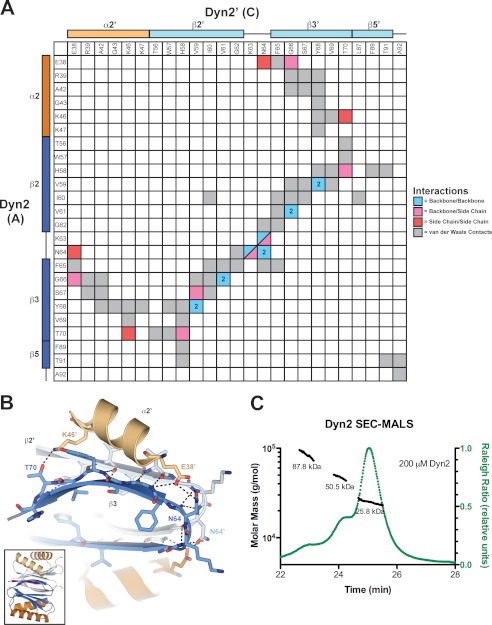 FIGURE 3.