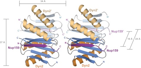 FIGURE 7.