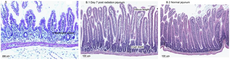 Figure 9