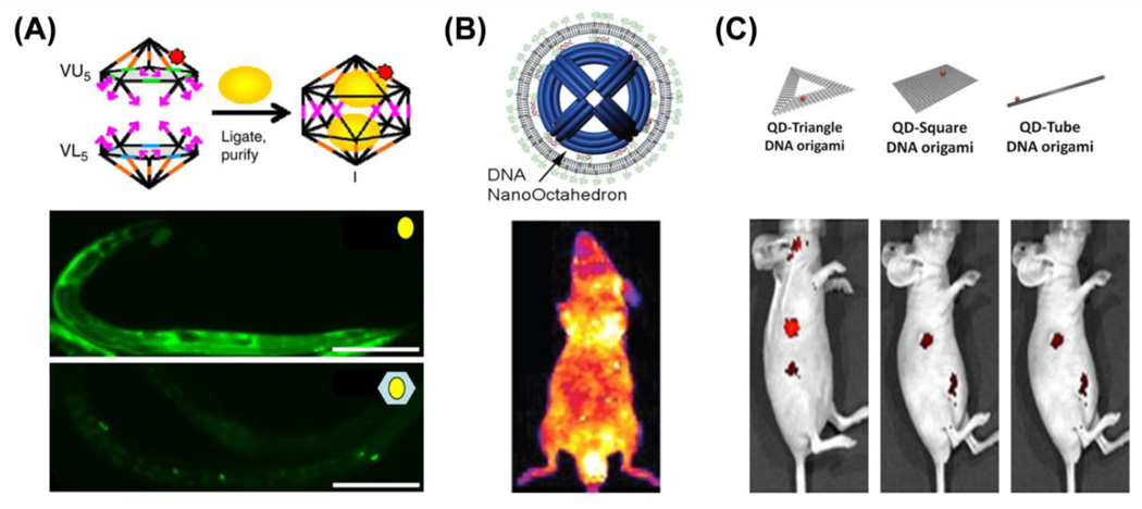 Fig. 6