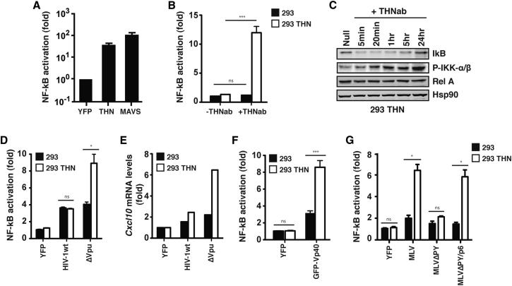 Figure 1