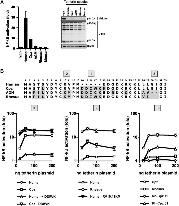 Figure 6