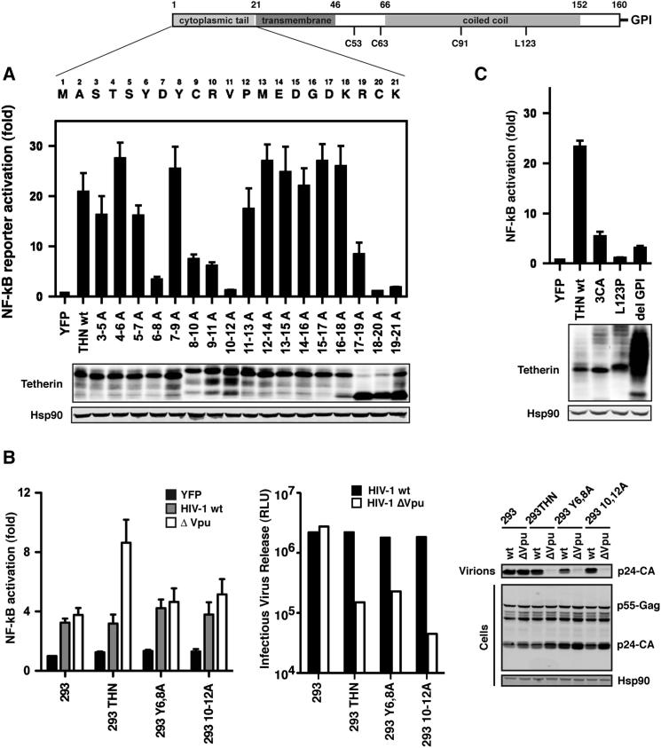 Figure 3