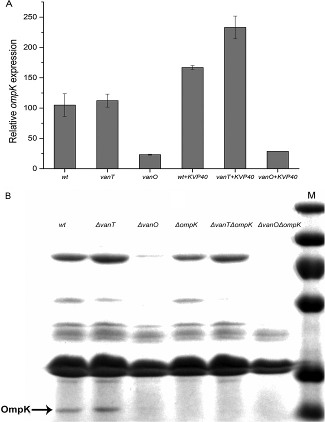 FIG 3 