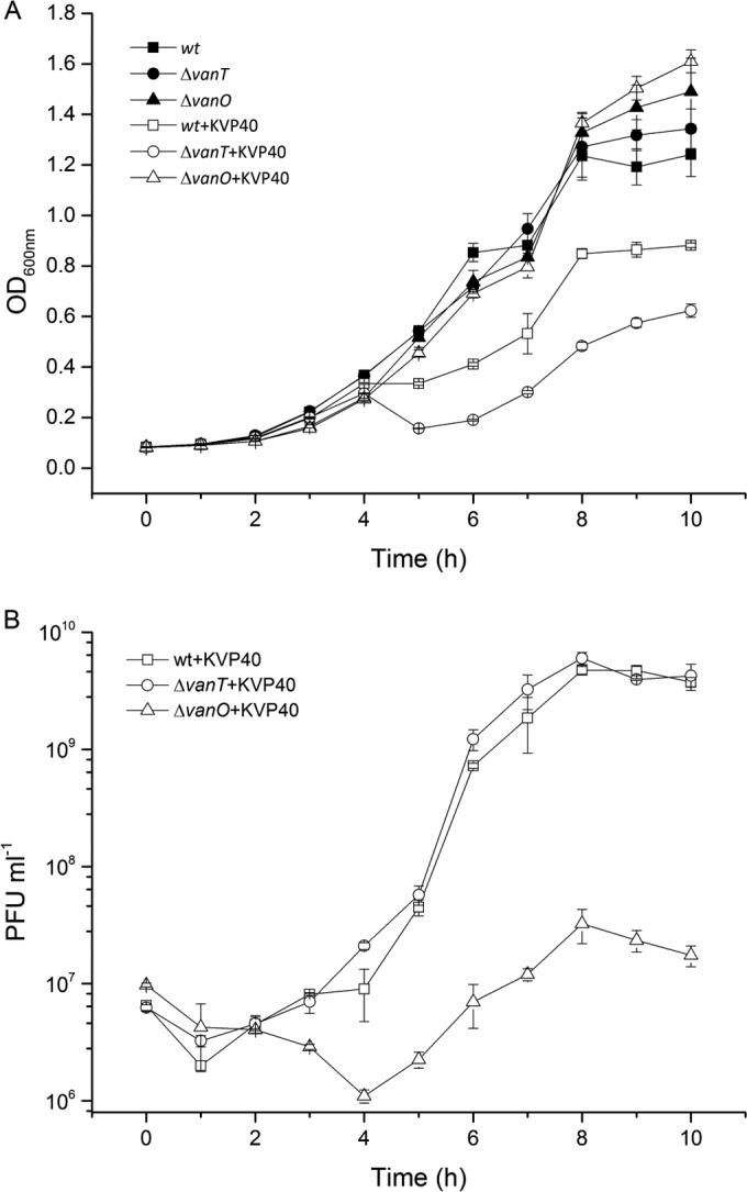 FIG 2 