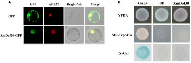 FIGURE 3