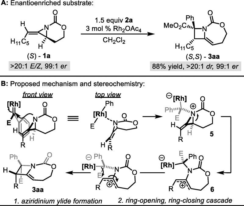 Scheme 3