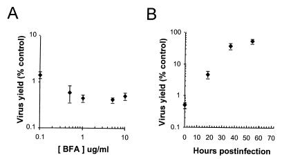 FIG. 6