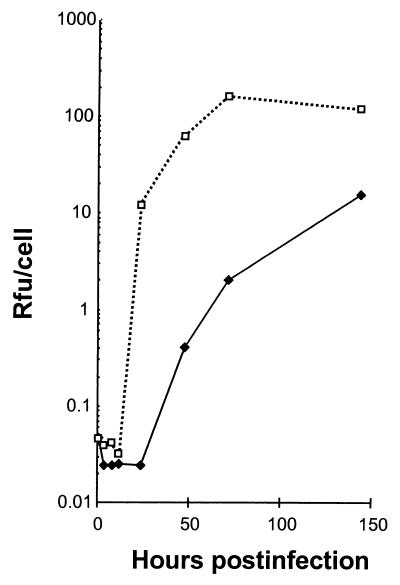 FIG. 1