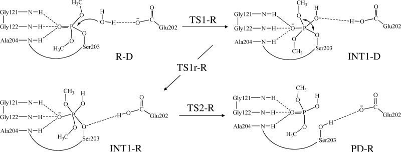 Scheme 2