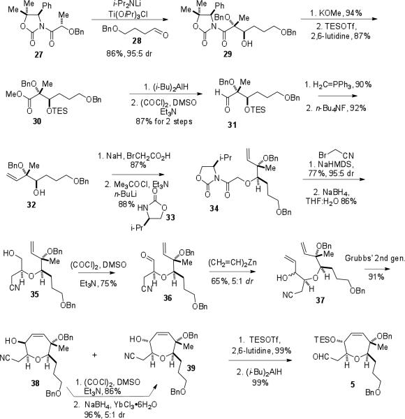 Scheme 4