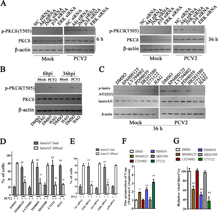 FIG 6