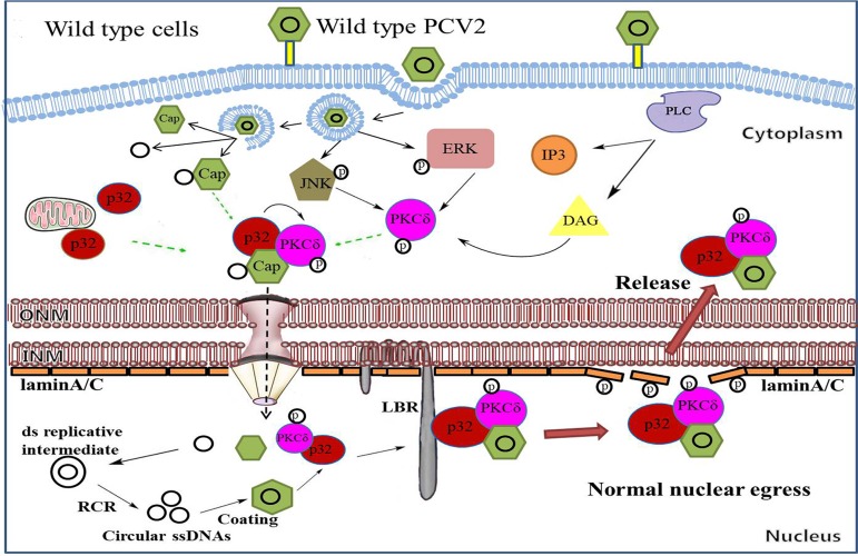 FIG 10