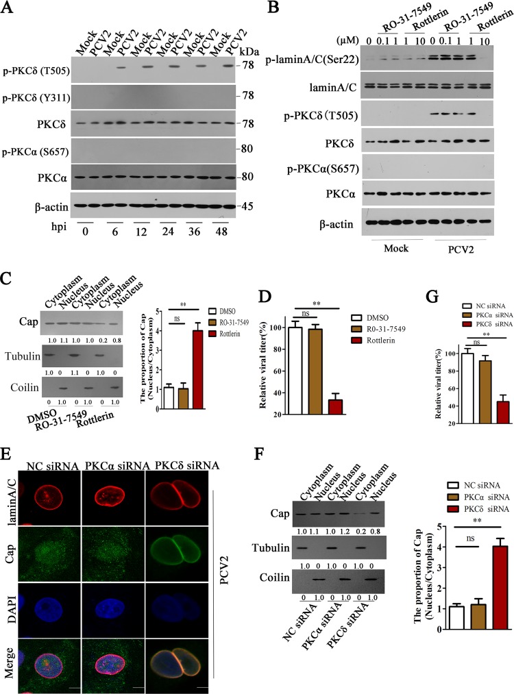 FIG 4