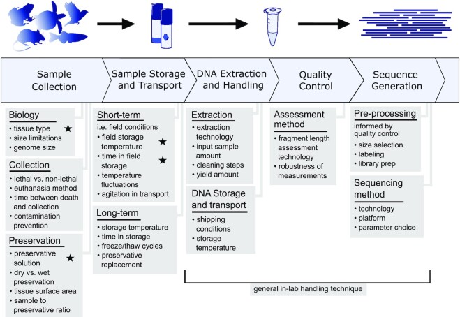 Figure 5: