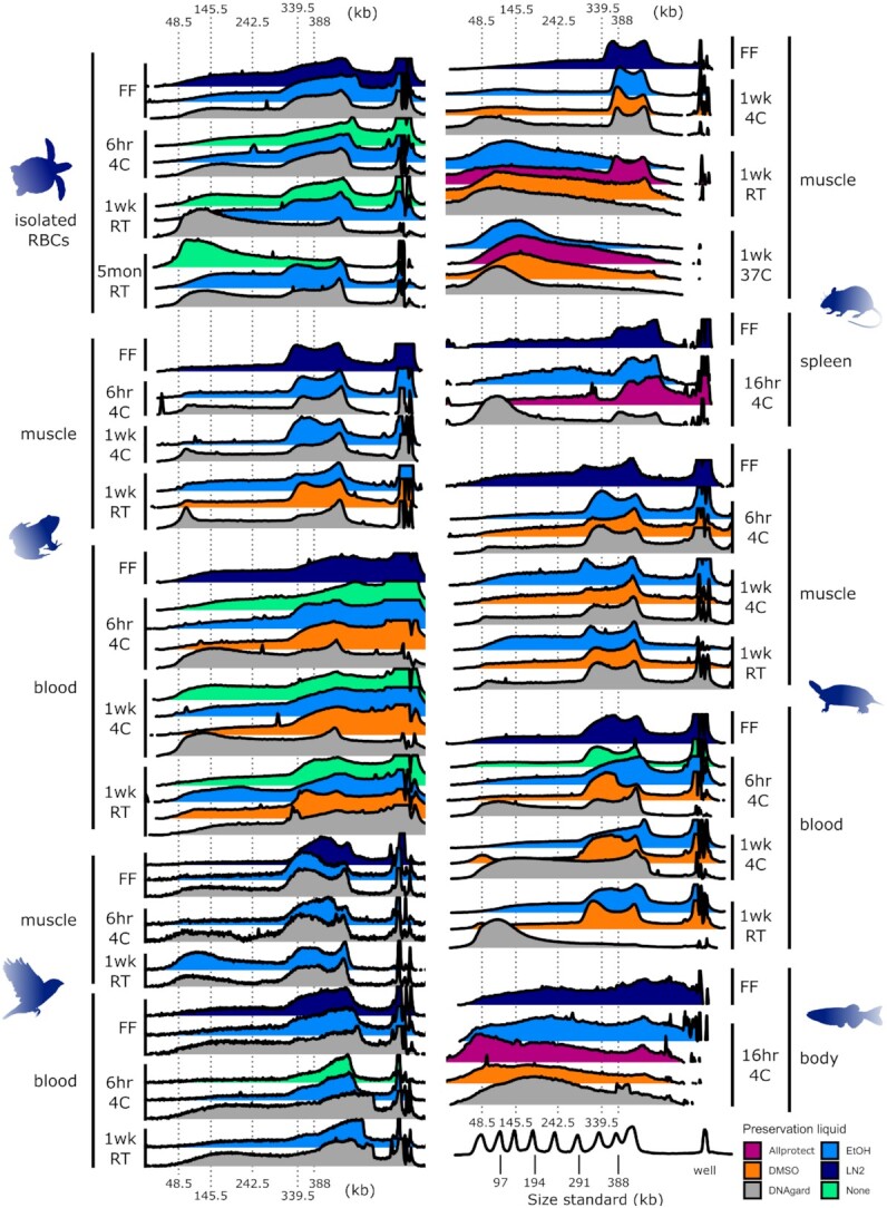 Figure 2: