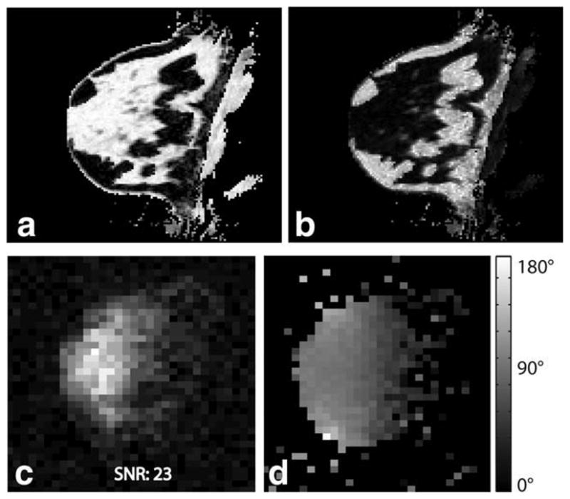 FIG. 5