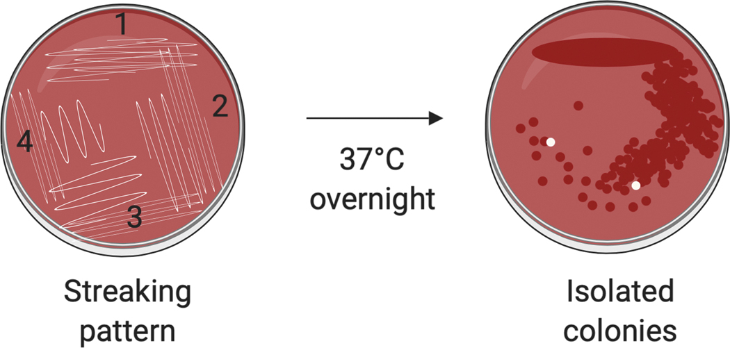 Figure 1: