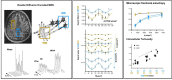 Image, graphical abstract