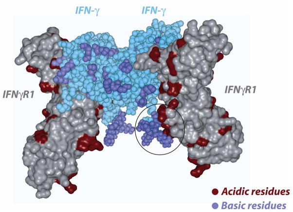 Fig 5