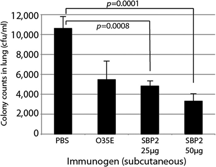 FIG 8