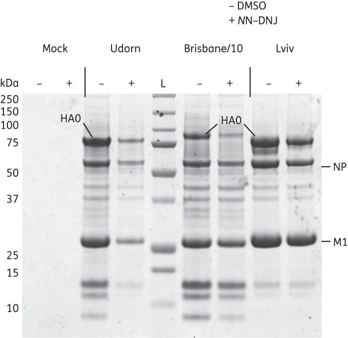 Figure 2.