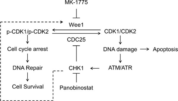 Fig. 8