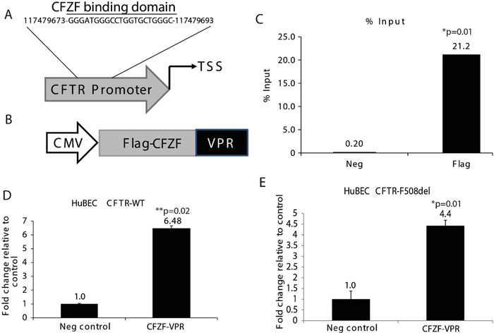 FIGURE 1