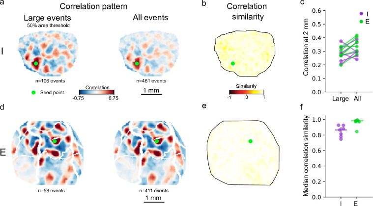 Figure 4—figure supplement 1.