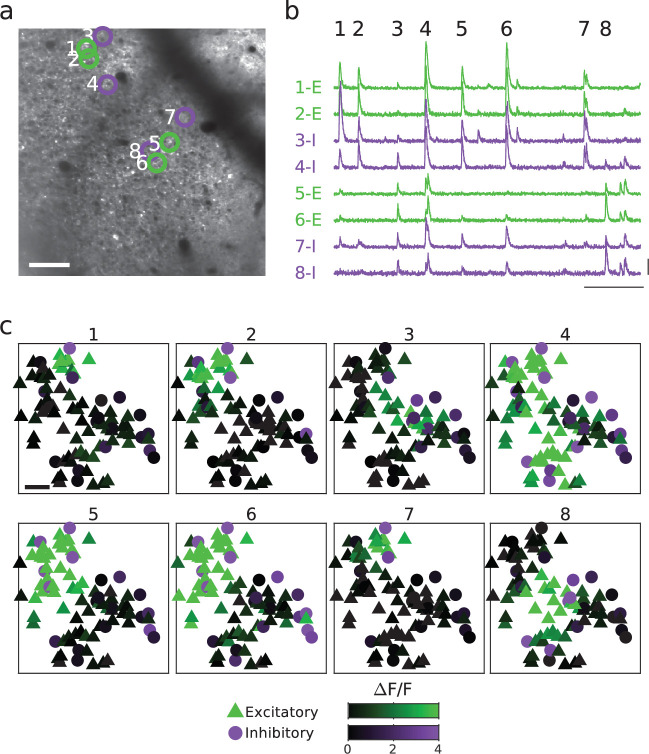 Figure 6—figure supplement 2.