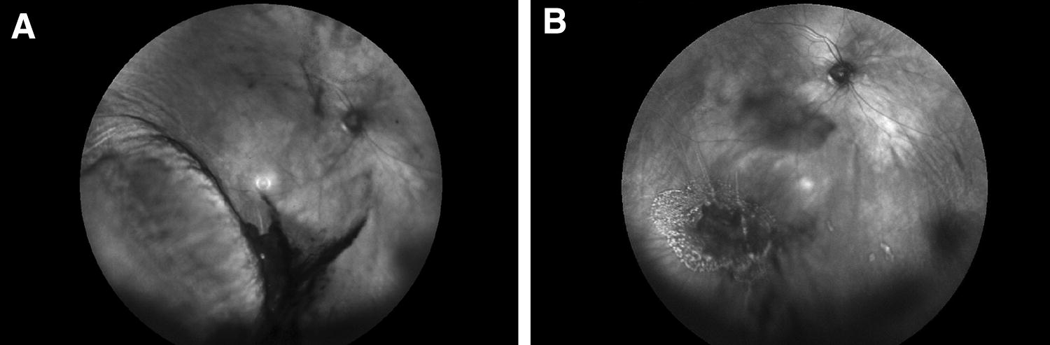 Fig. 6