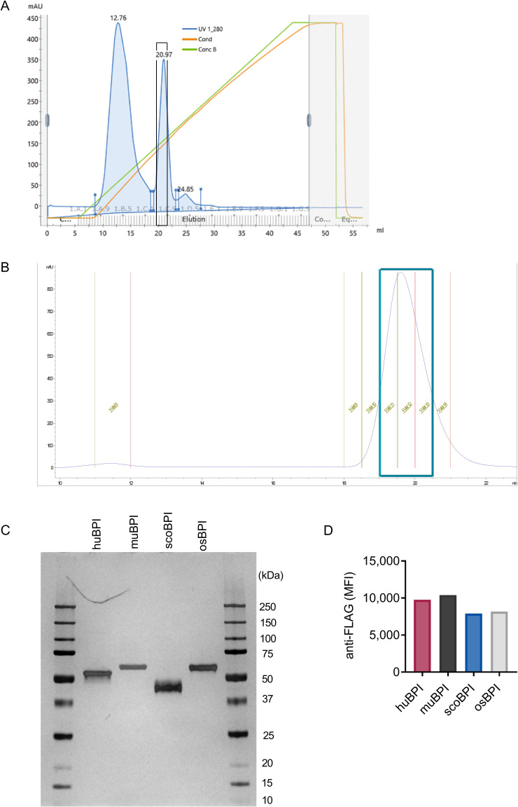 Figure 2—figure supplement 1.