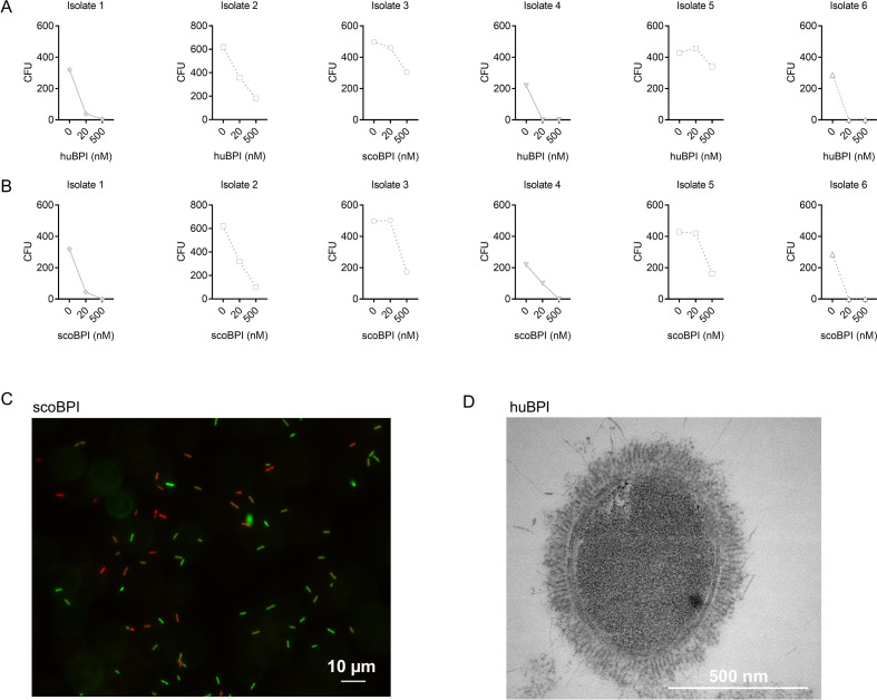 Figure 4—figure supplement 1.