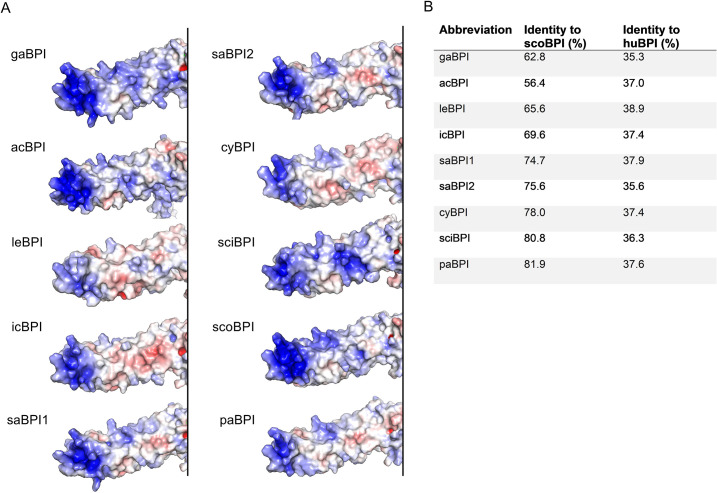 Figure 1—figure supplement 2.