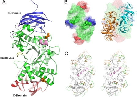 FIGURE 1.