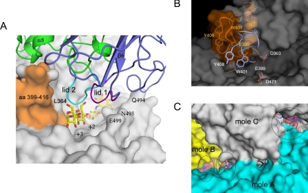 FIGURE 4.