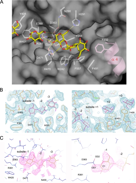 FIGURE 3.