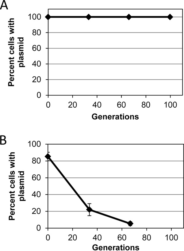 FIG 2