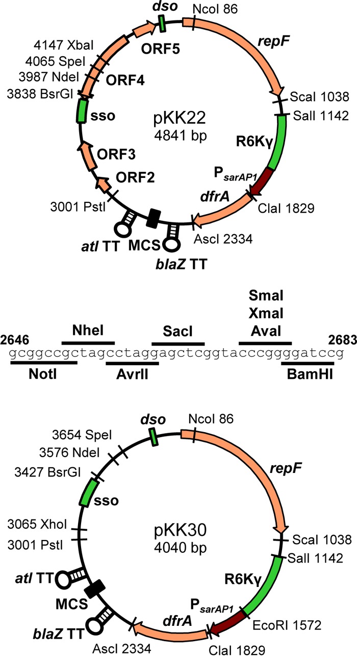 FIG 3