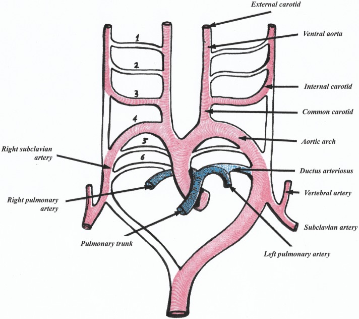 Figure 3