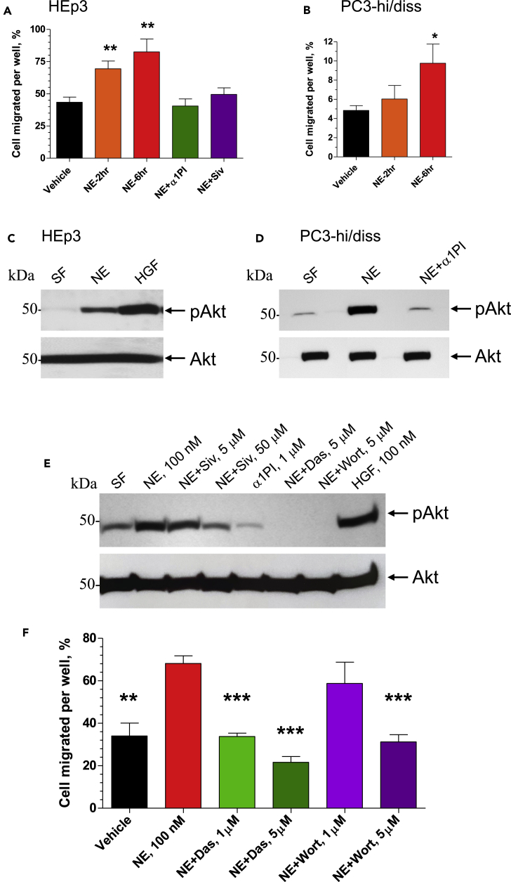 Figure 5