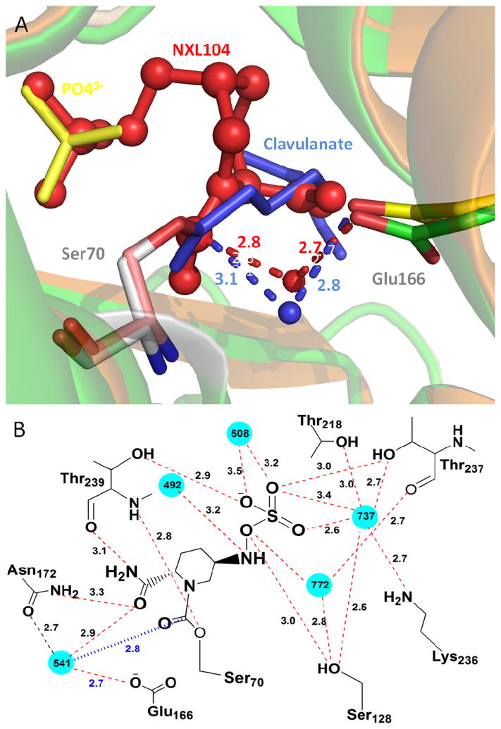 Figure 7