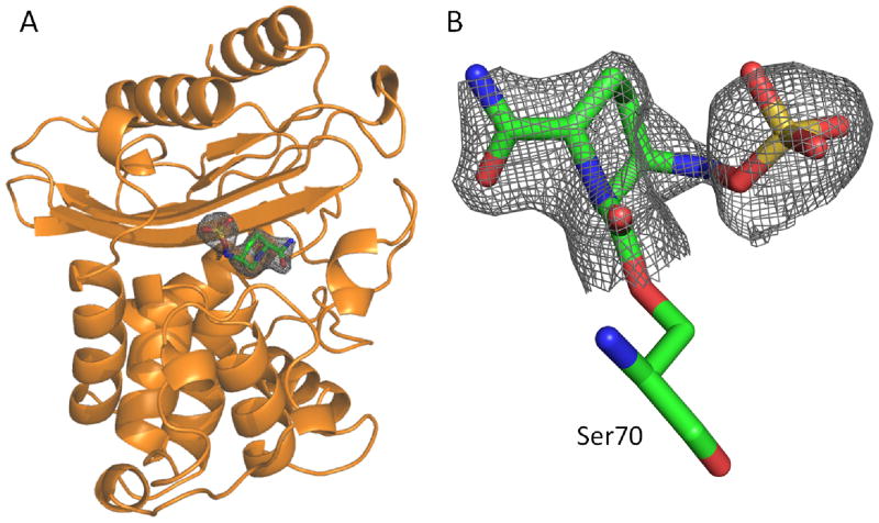 Figure 6