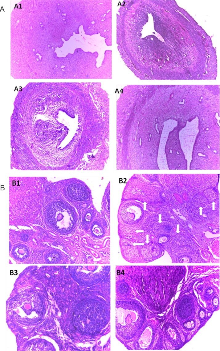 Fig. 4