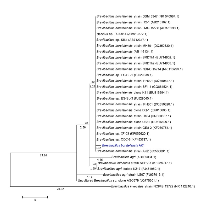 Figure 2