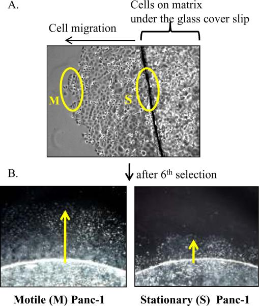 Figure. 3