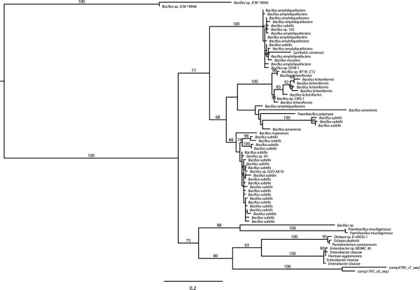 Figure 7