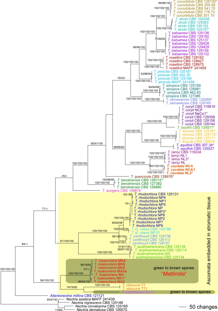 Fig. 2