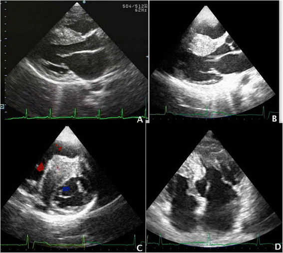 Fig. 2